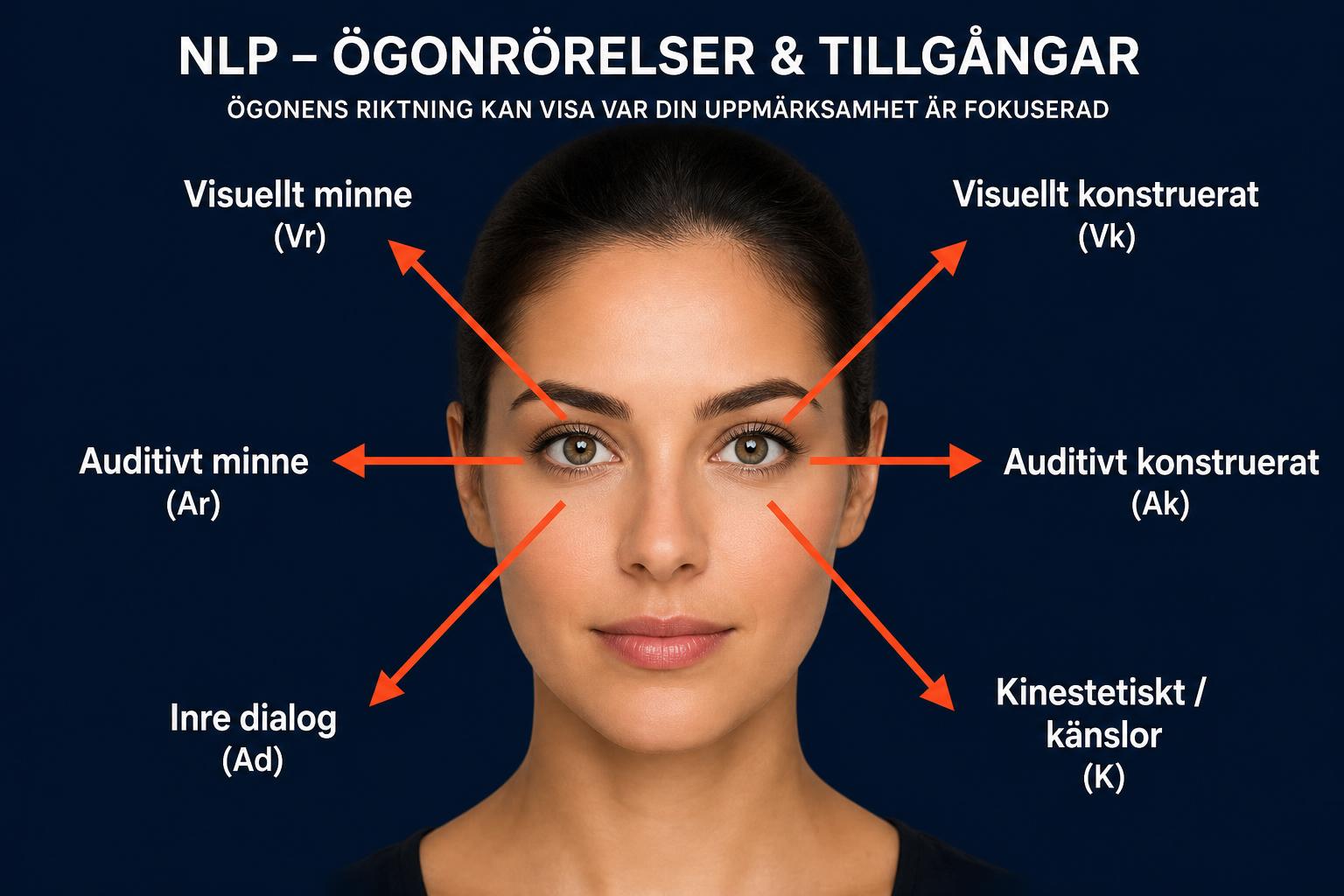 VAKOG – Sinneskanaler